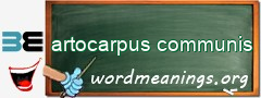 WordMeaning blackboard for artocarpus communis